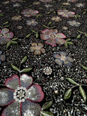 نمای نزدیک گلبرگ