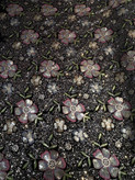 طرح گلبرگ